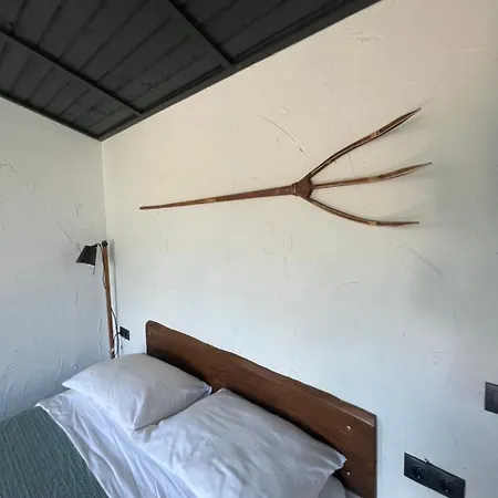 Casa Valeria Baisoara